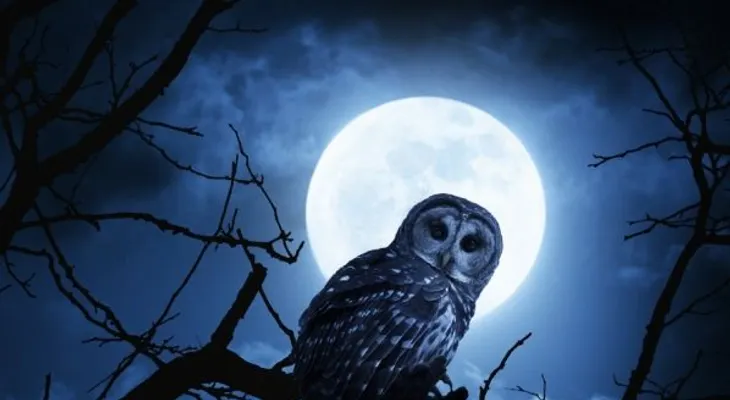 La luna llena provoca insomnio