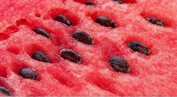 Beneficios semillas de sandía
