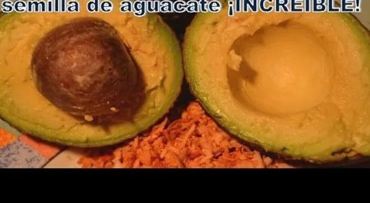 La semilla de aguacate: Por qué nunca debe votarla? ¡INCREÍBLE! (VIDEO)