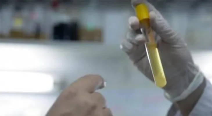 Científicos descubren que una bacteria aumenta la longevidad