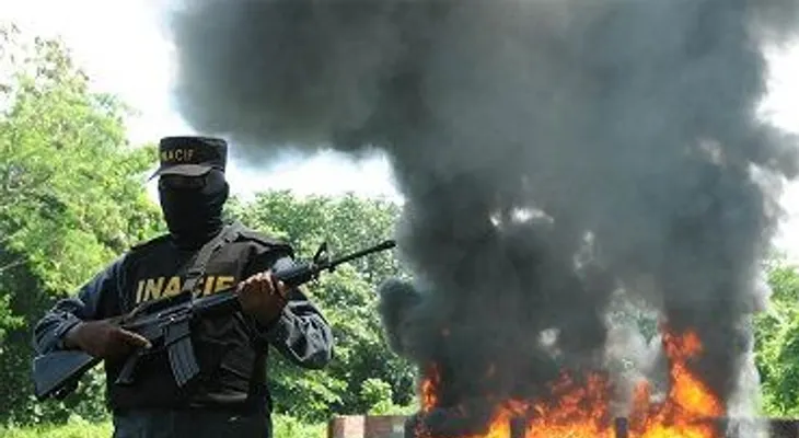 294 kilos de drogas incinerada por la Procuraduría