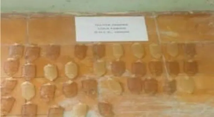Apresan en aeropuerto Punta Cana a peruana con 35 bolsitas de drogas en el estómago