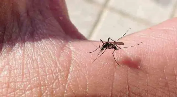 Obras Públicas sigue con jornada contra el zika, dengue y chikungunya