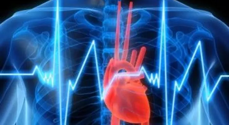  Método robótico logra revertir insuficiencia cardiaca con señales eléctricas 