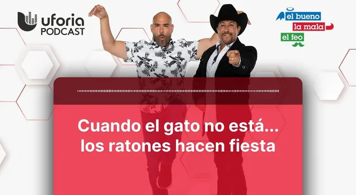 Cuando el gato se va, los ratones hacen fiesta