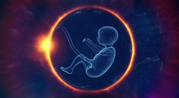 Hallan el mayor enigma de la formación de los humanos