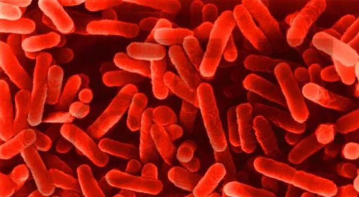 Los antibióticos nos llevarán a un escenario apocalíptico 
