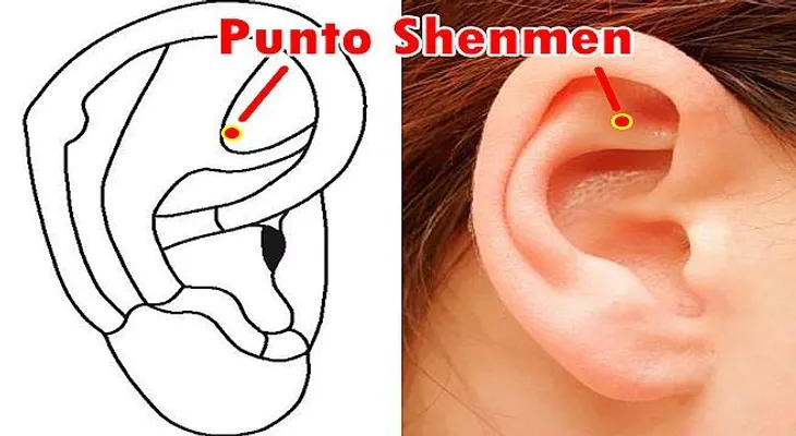 Entérate para que sirve estimular este punto: Wao. Sin desperdicio!!..