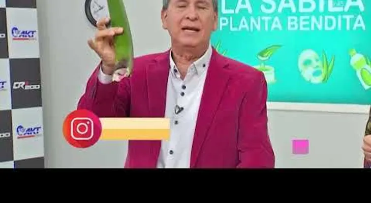 La sábila; una planta con múltiples propiedades 