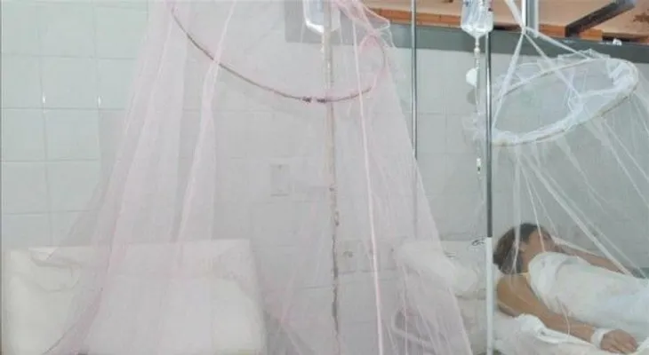 El dengue aumentó un 240% en Brasil