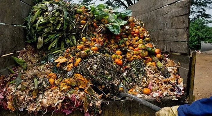 La tercera parte de la comida del mundo se desperdicia 