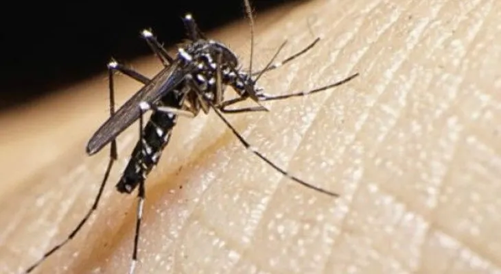 DGM pone a disposición SP sus medios para evitar entrada zika a RD