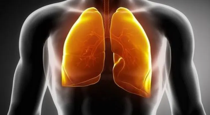 Seis recomendaciones para tener pulmones saludables 