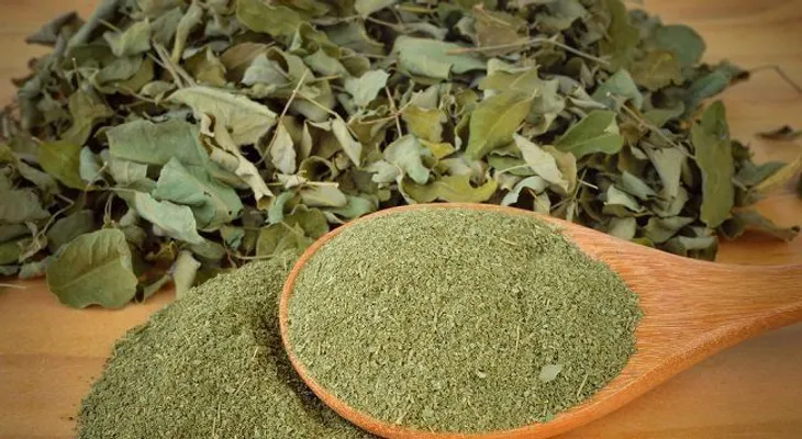 Usos y beneficios de la moringa para mejorar tu salud