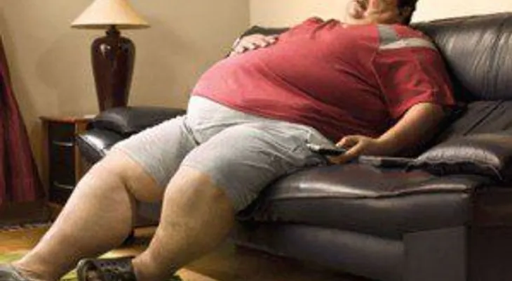 La obesidad está en el cerebro
