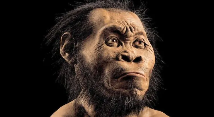 ¿Cuál es mi parentesco con el Homo naledi?