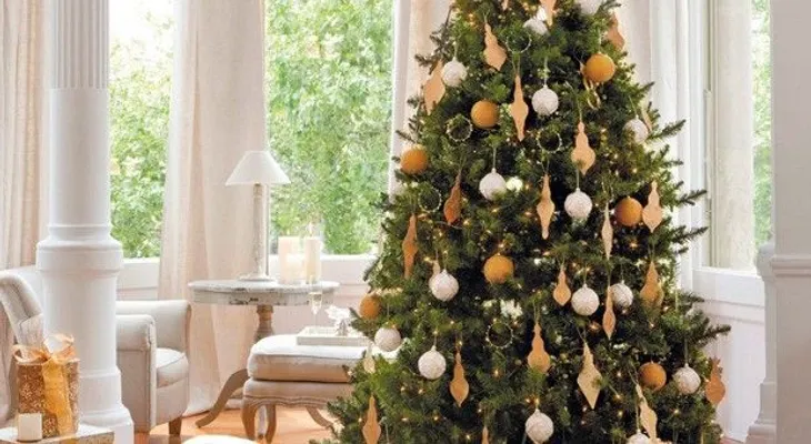 El árbol de Navidad - sus orígenes y sentido cristiano (VIDEO)
