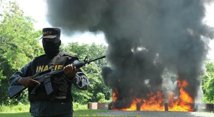 Incineran más de 1,099 kilogramos de diferentes tipos de drogas
