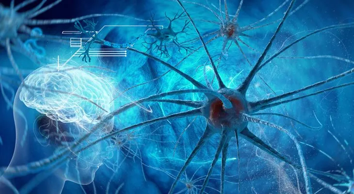 La tribu que comiendo cerebros humanos desarrolló inmunidad a enfermedades incurables