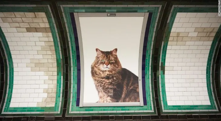 Retiran anuncios de estación de metro londinense.... y los reemplazan con gatos