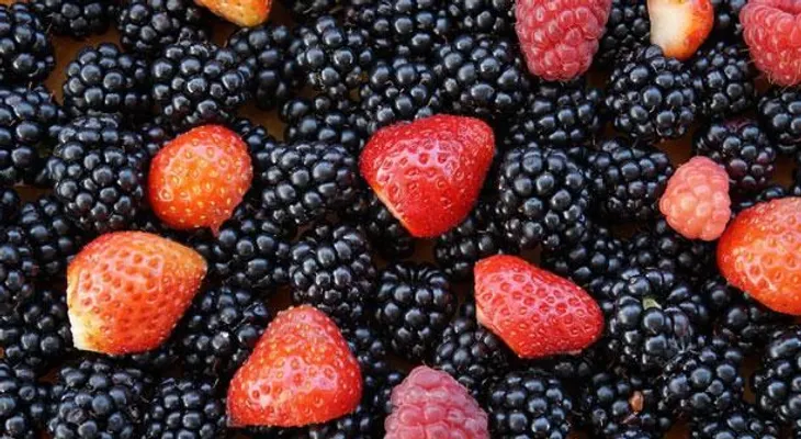 Los frutos rojos y el vino tinto ayudan a luchar contra enfermedades mentales 