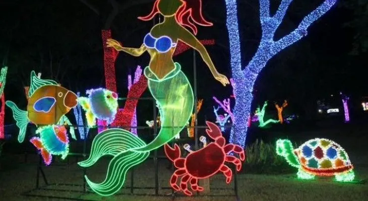 Encienden velas contra parque "Brillante Navidad"