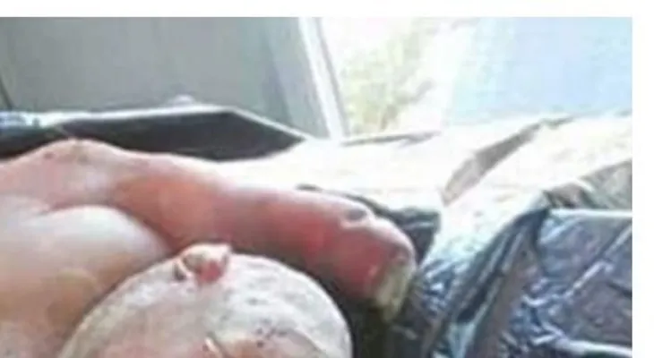Pánico en una aldea de Sudáfrica por un "hombre-cordero" enviado "por el diablo"