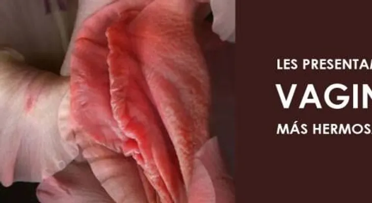 Datos que probablemente no conocías; la palabra "vagina" significa vaina y la palabra "vulva" envoltura
