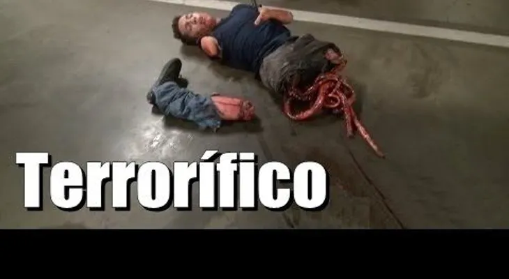 Descuartizador causa pánico 