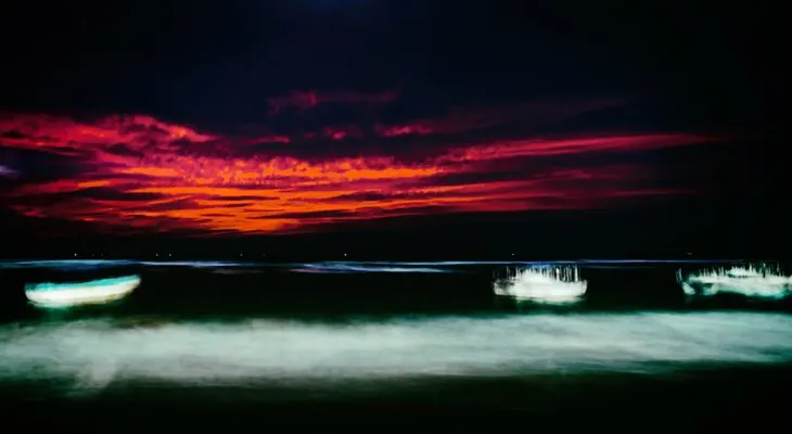 Revelan el origen de los barcos fantasma que arribaron a Japón con cadáveres decapitados