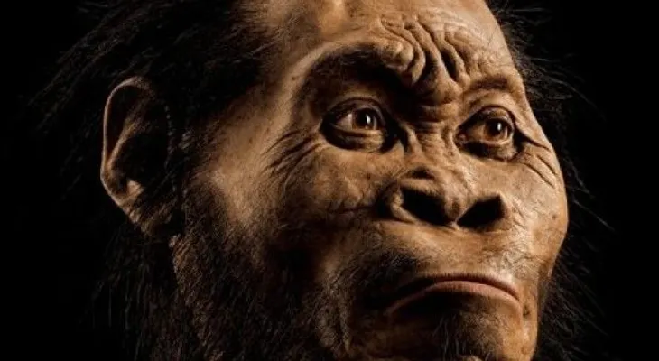 Hallan huesos en Sudáfrica revelan nuevo pariente humano