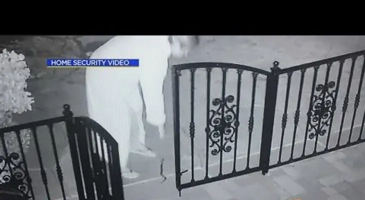 Mujer agarra por error una serpiente de cascabel