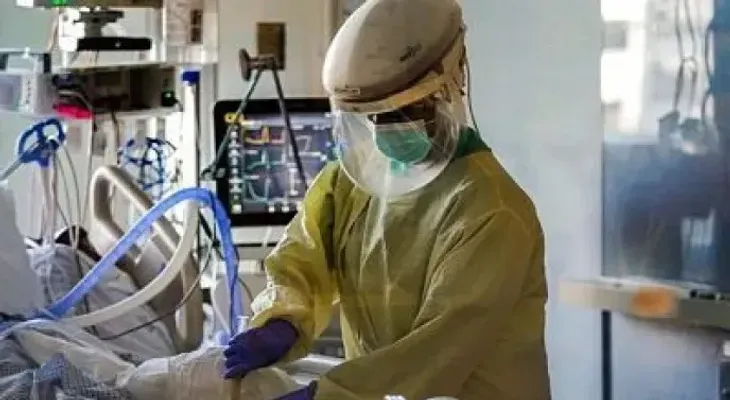 Identifican la posible causa del brote de una fiebre viral mortal en la India