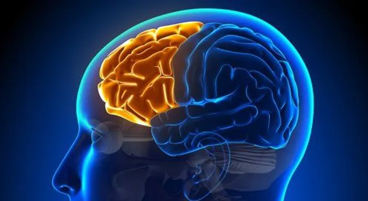La diabetes puede dañar al cerebro y provocar el Alzaheimer