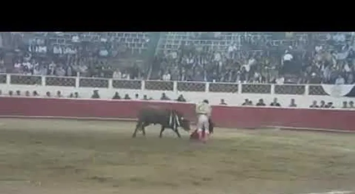 Un torero recibe una cornada en el escroto y tiene que ser hospitalizado  (ADVERTENCIA DE FUERTE VIDEO)