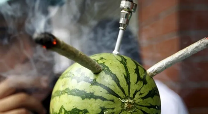 Hallazgo inesperado: Las verdaderas consecuencias del consumo de cannabis
