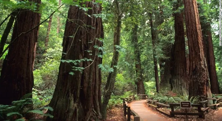 Los parques naturales nacionales más populares de Estados Unidos