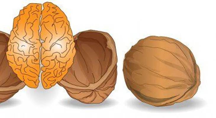 5 terapias que ayudan a la salud del cerebro