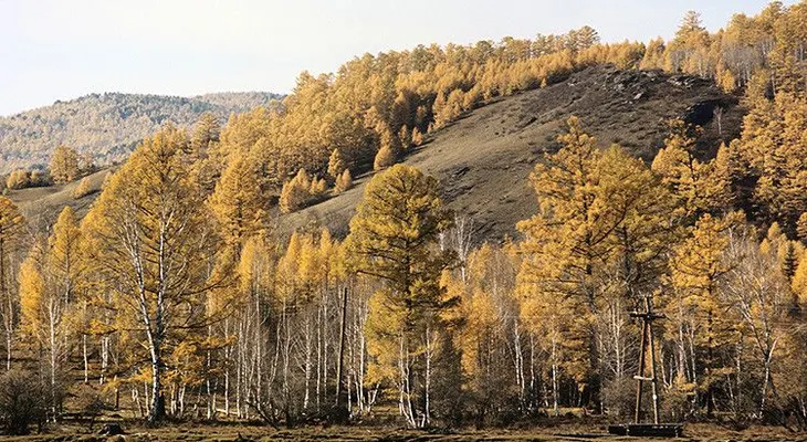 "No tuve miedo": Un pequeño "tarzán" ruso sobrevive 3 días en un bosque siberiano
