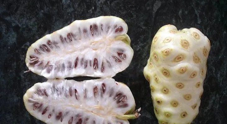 Los interesantes beneficios de la fruta del noni