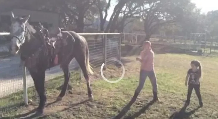 Un caballo imita a dos niñas bailando y enciende las redes