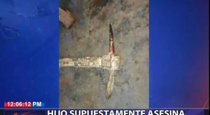Hijo mata a su padre alegadamente con un pico