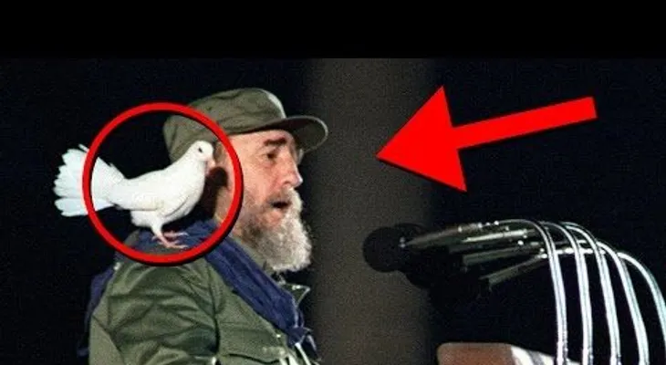 Fidel Castro y cinco curiosidades de su vida