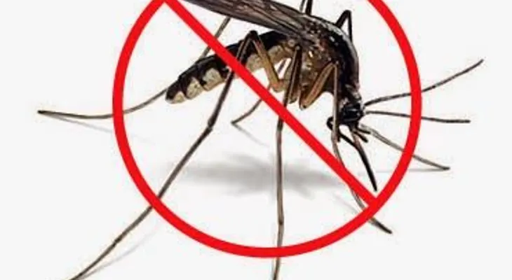 Salud Pública recomienda acudir al médico y no automedicarse en casos de chikungunya o dengue 