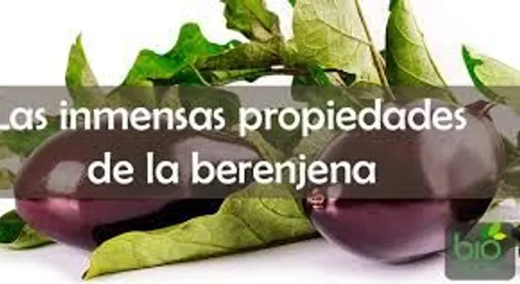 La berenjena tiene poder antienvejecimiento: sus inmensas propiedades