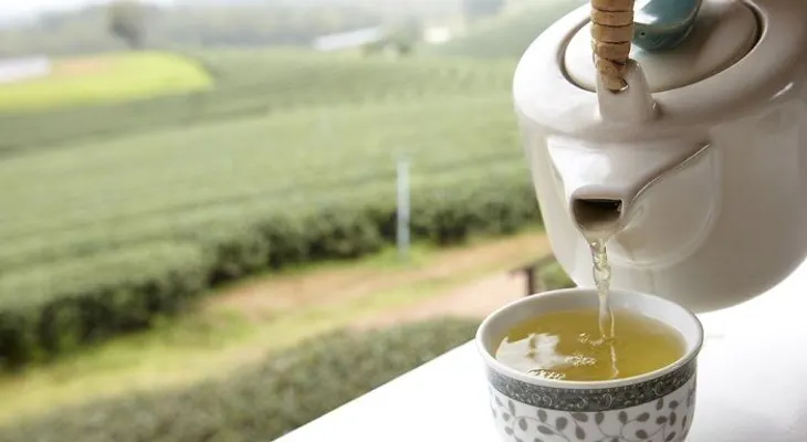 El té blanco para la salud: Posee propiedades antioxidantes