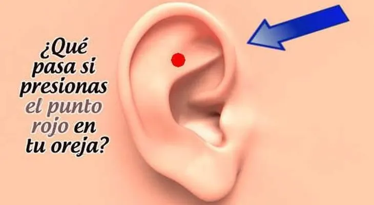 Mira lo que pasa si presionas este punto de tu oreja