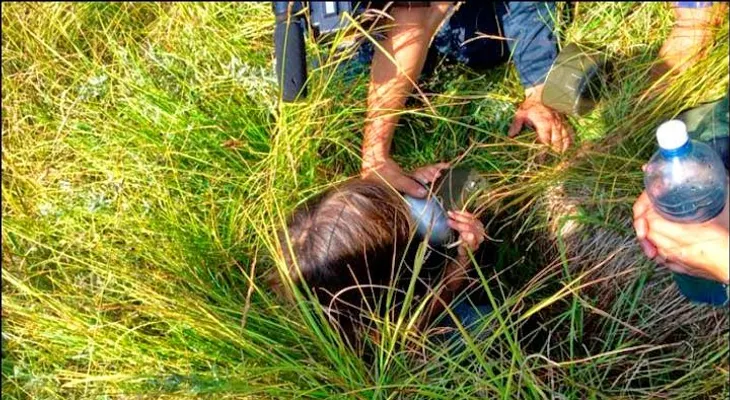 Niña de 3 años sobrevive milagrosamente 11 días en un bosque gracias a su perro héroe