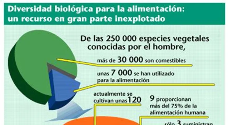 Haga un esfuerzo para comer bien y nutrirse, no recurra a la pobreza alimenticia 