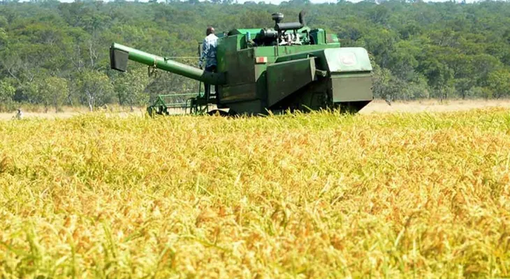 República Dominicana mantiene protección al arroz frente al DR-Cafta pese a presión de Estados Unidos